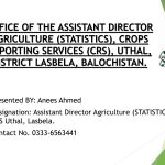 OFFICE OF THE ASSISTANT DIRECTOR AGRICULTURE (STATISTICS), CROPS