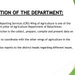 OFFICE OF THE ASSISTANT DIRECTOR AGRICULTURE (STATISTICS), CROPS