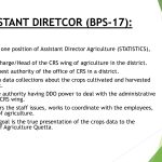 OFFICE OF THE ASSISTANT DIRECTOR AGRICULTURE (STATISTICS), CROPS