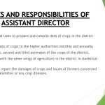 OFFICE OF THE ASSISTANT DIRECTOR AGRICULTURE (STATISTICS), CROPS